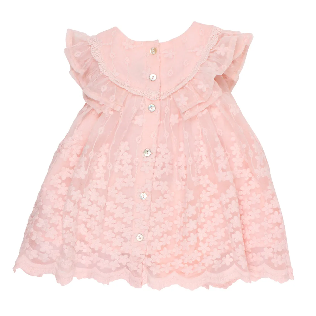 Bebe Frill Sleeve Lace Dress in Pink